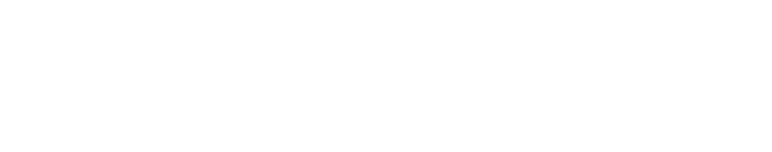 Untitled Flagship novel